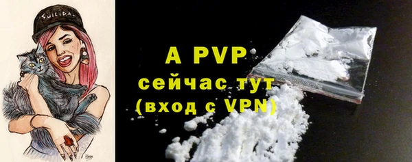 бошки Гусь-Хрустальный