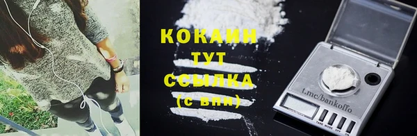 ПСИЛОЦИБИНОВЫЕ ГРИБЫ Гусев
