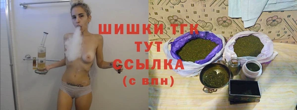 ПСИЛОЦИБИНОВЫЕ ГРИБЫ Гусев