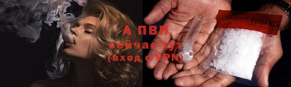 ПСИЛОЦИБИНОВЫЕ ГРИБЫ Гусев