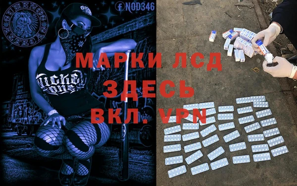 ПСИЛОЦИБИНОВЫЕ ГРИБЫ Гусев