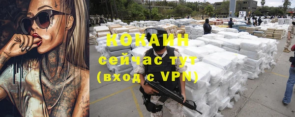 бошки Гусь-Хрустальный