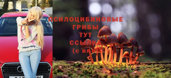 бошки Гусь-Хрустальный