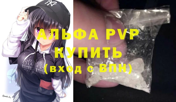 ПСИЛОЦИБИНОВЫЕ ГРИБЫ Гусев