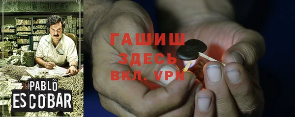 ПСИЛОЦИБИНОВЫЕ ГРИБЫ Гусев